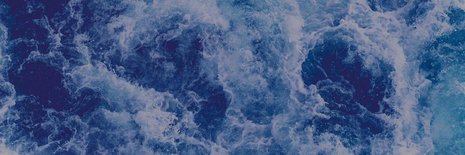 Sonaar Luthra 🌊🐤 @sonaar.bsky.social banner