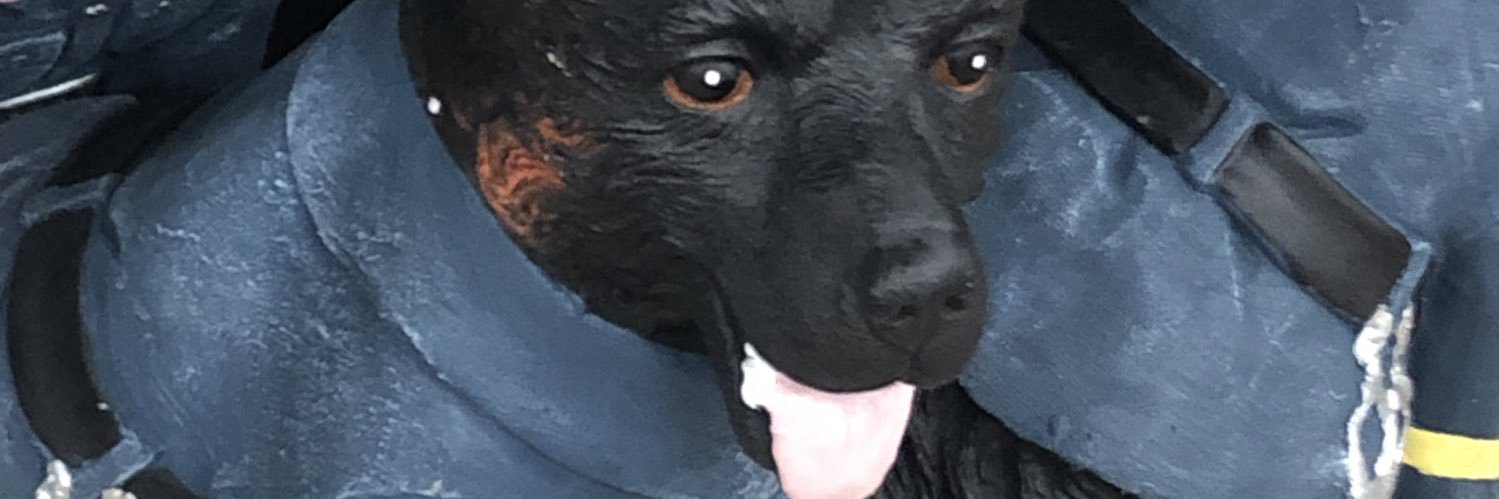 k91732's profile banner image
