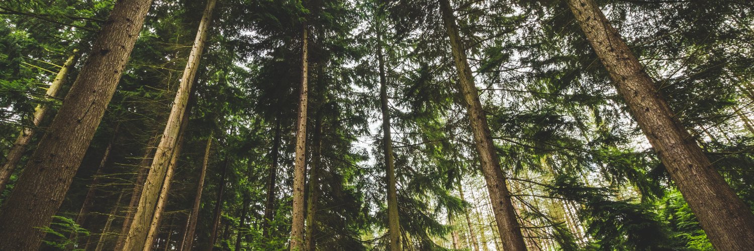BC First Nations Forestry Council banner