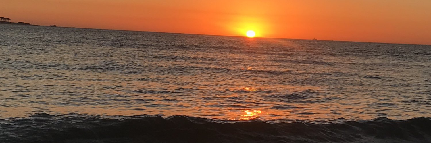 camimportami's profile banner image