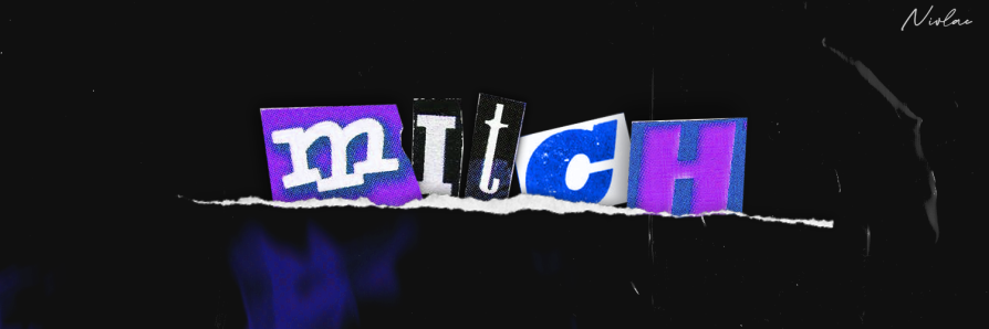 mitch banner