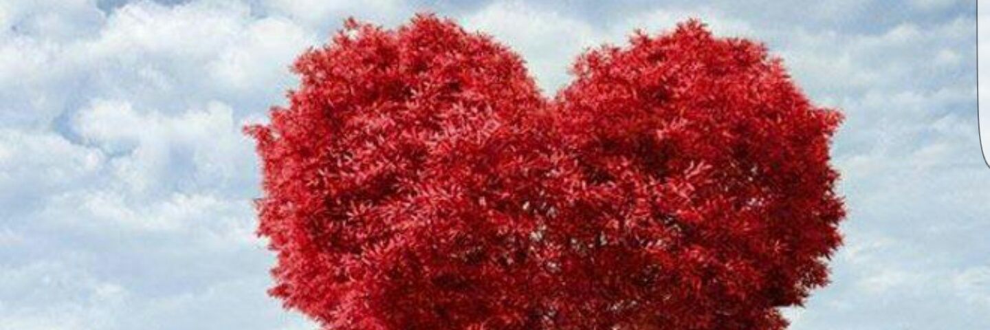 damilorla's profile banner image