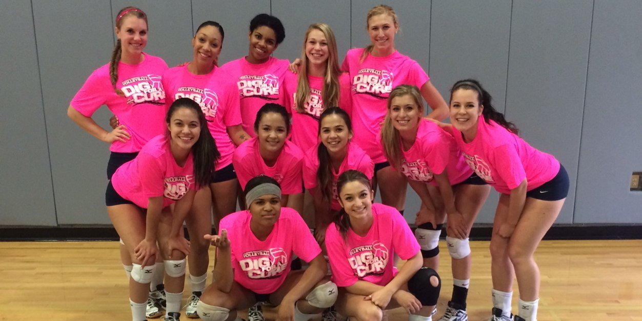 ARC Volleyball banner