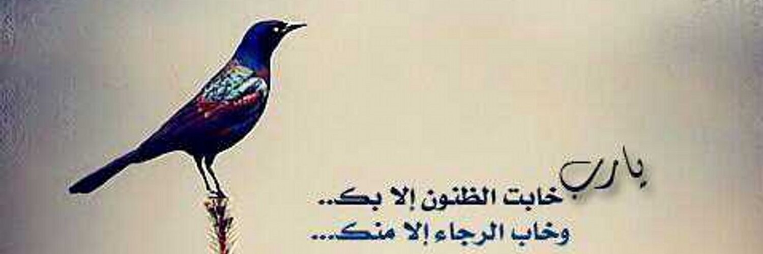 _saud502's profile banner image