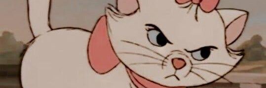 jschw46's profile banner image