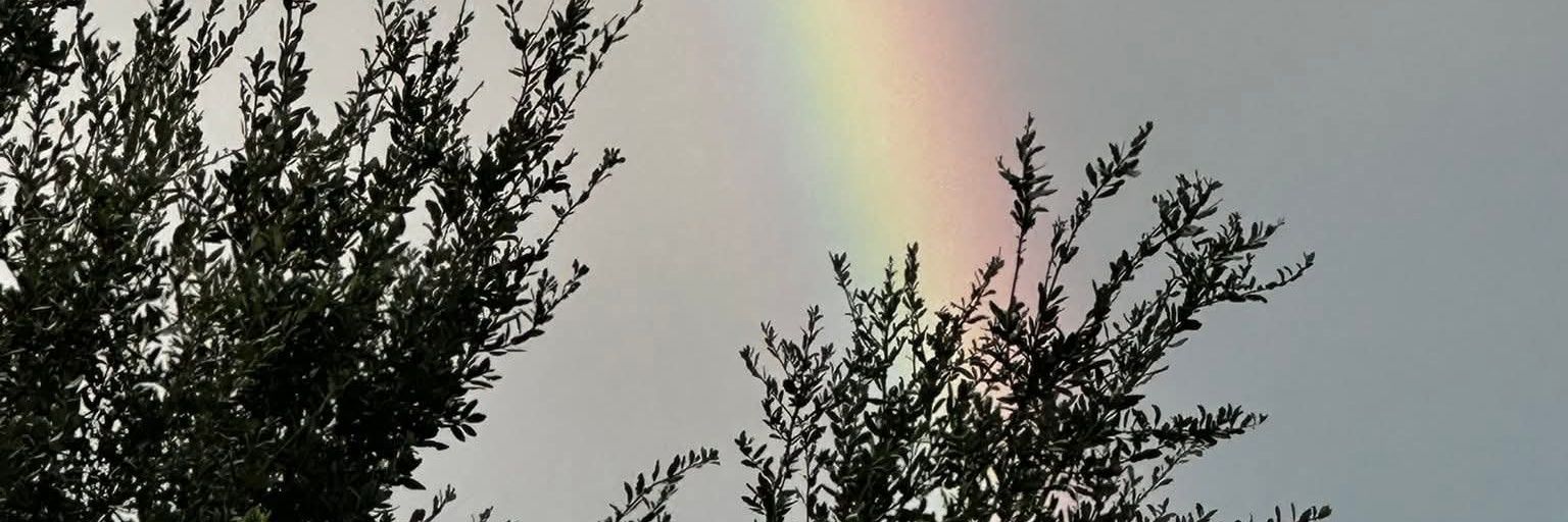 MauRaw18's profile banner image