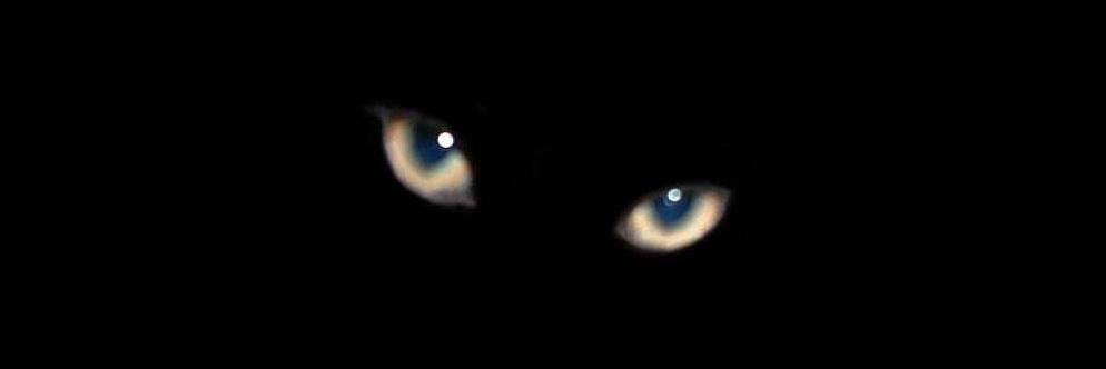 MILET48's profile banner image