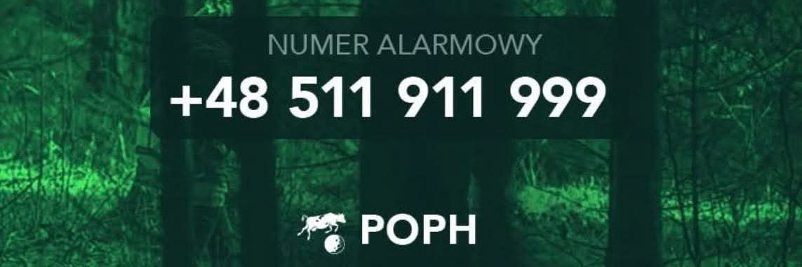 POPH banner