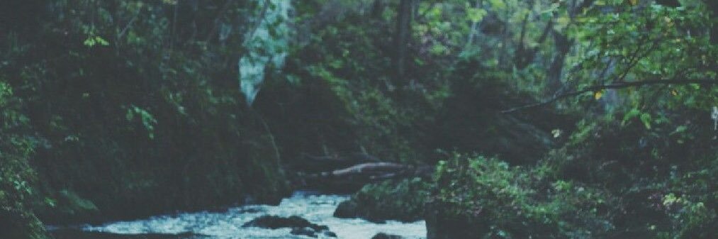 j_mancin11's profile banner image