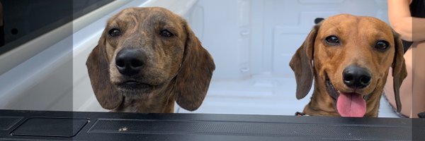 SAL438245 Profile Banner