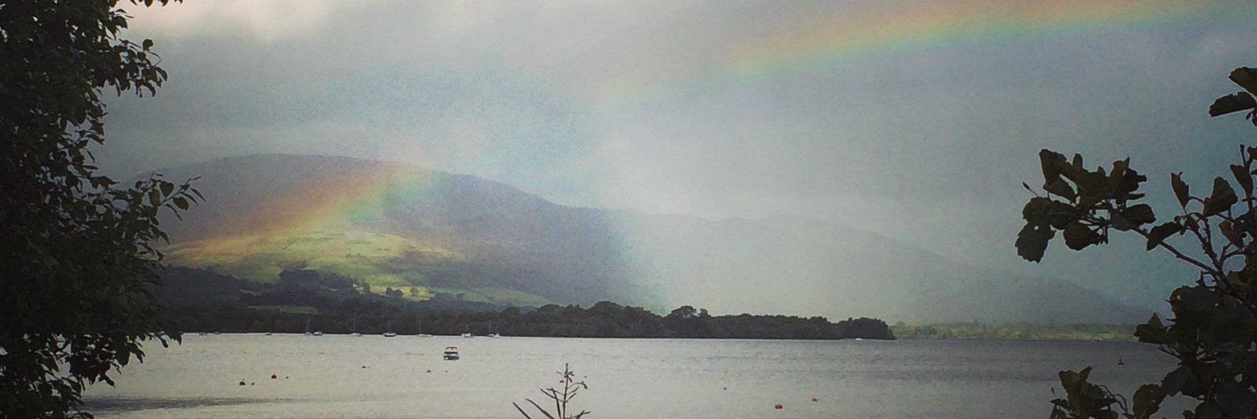 LauraJillKelly's profile banner image