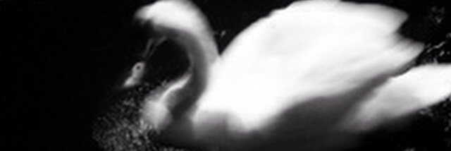 anavnos's profile banner image