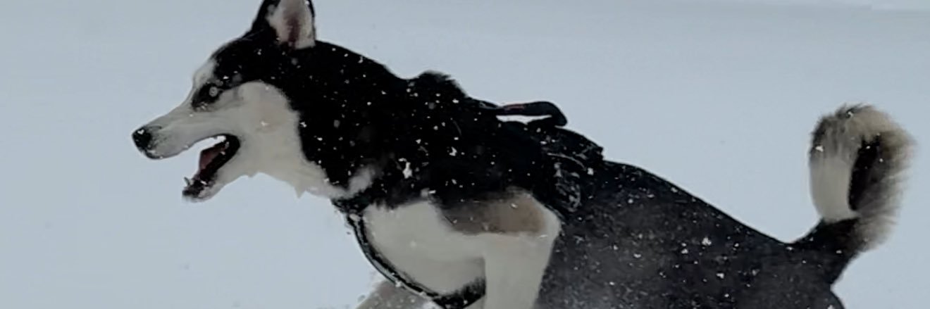 Bando_Bandzzs's profile banner image