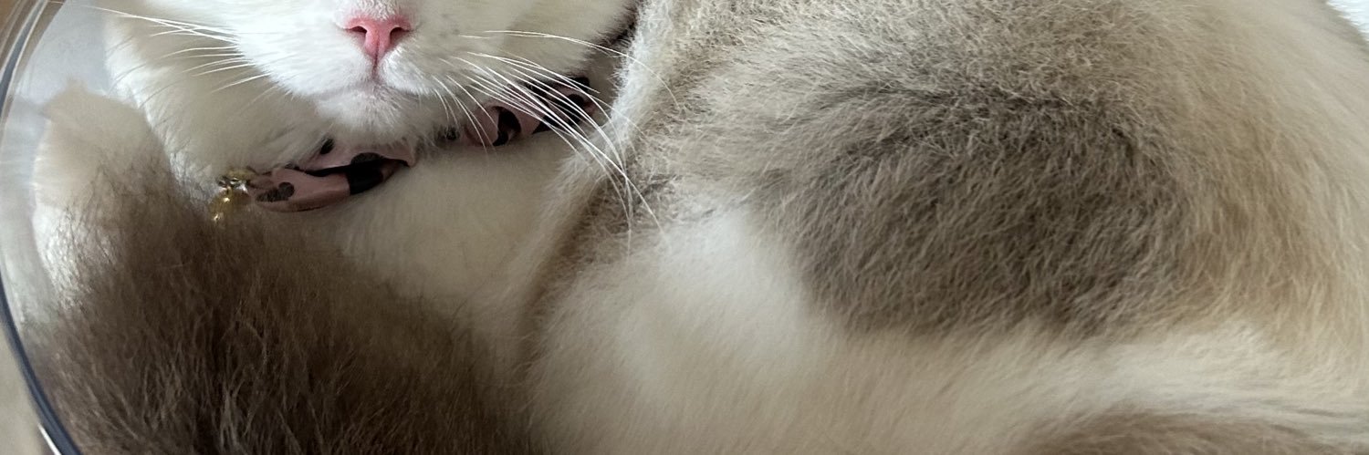 miomion23's profile banner image