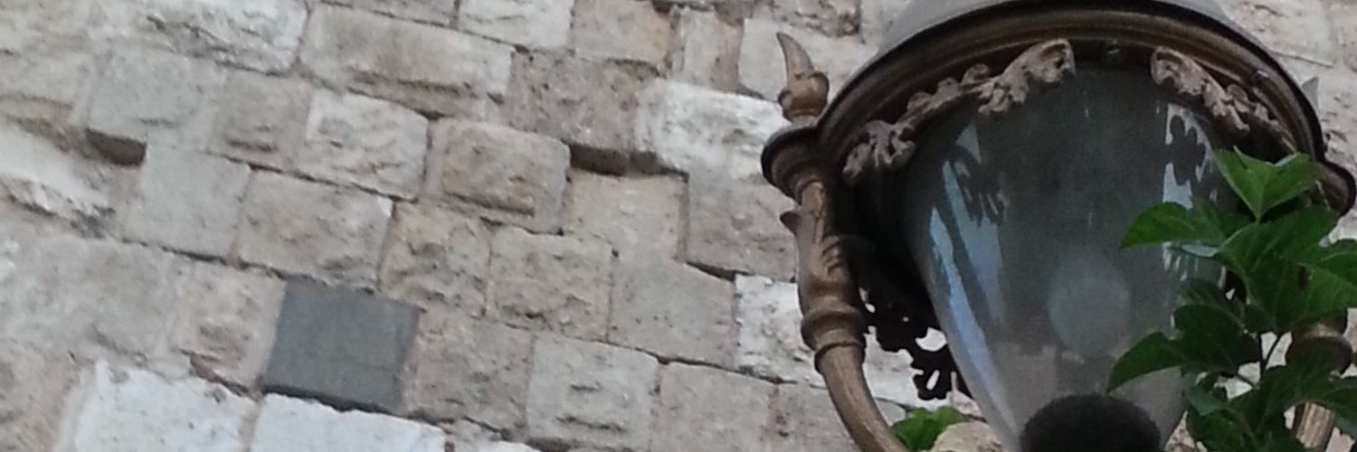 Halodebs's profile banner image