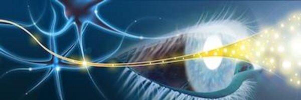 NansenNeuro Profile Banner