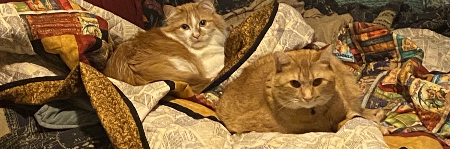 📖Delcie🖊 but a ghost 👻 banner