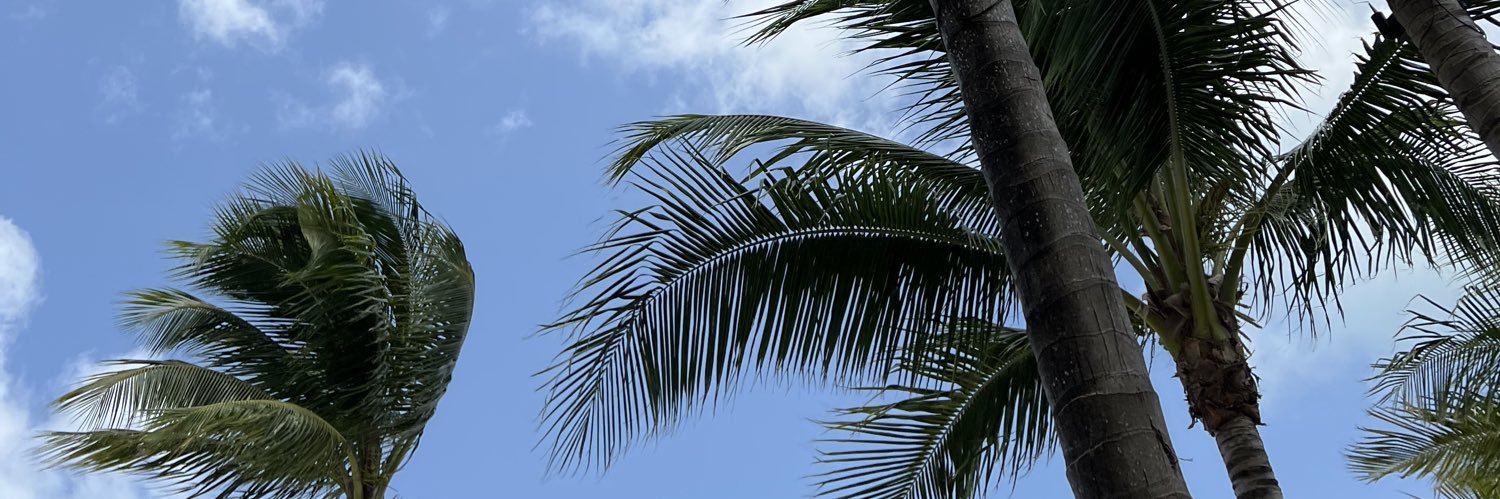 nftblake_'s profile banner image