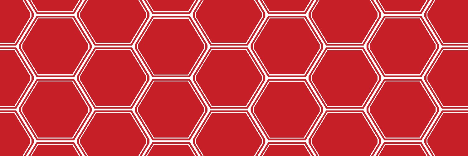TheRubyNexus's profile banner image