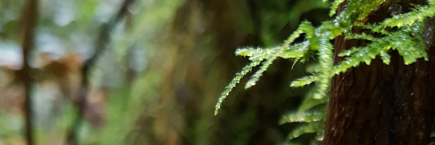 canid56's profile banner image