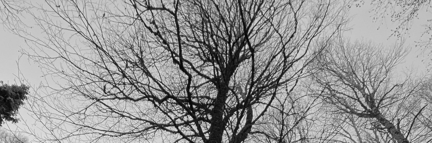 yn_ece's profile banner image