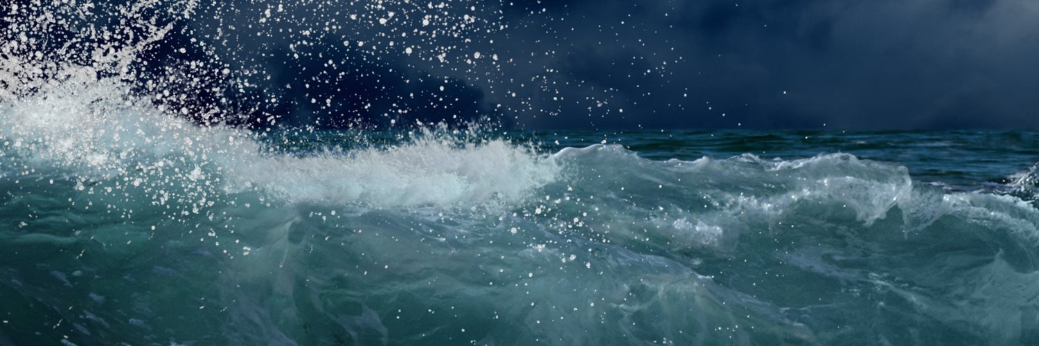 Gael Force Group banner