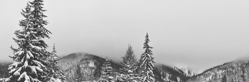 EnticinglyRich's profile banner image
