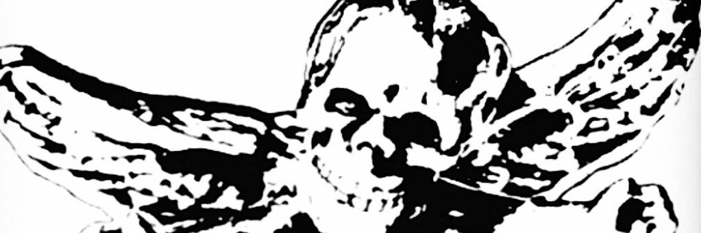 ✩ banner