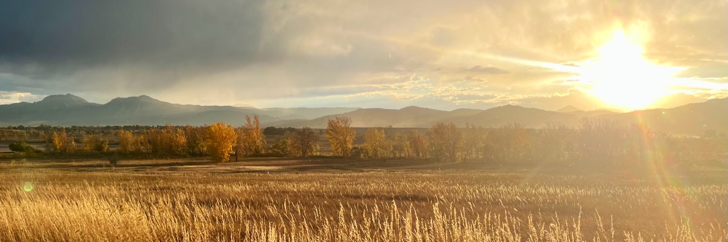 adam_mayer's profile banner image