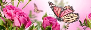 deia_bs's profile banner image