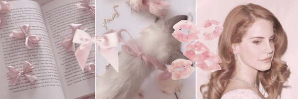 lily ୨୧ Profile Banner