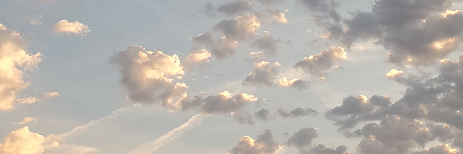 steflowr's profile banner image