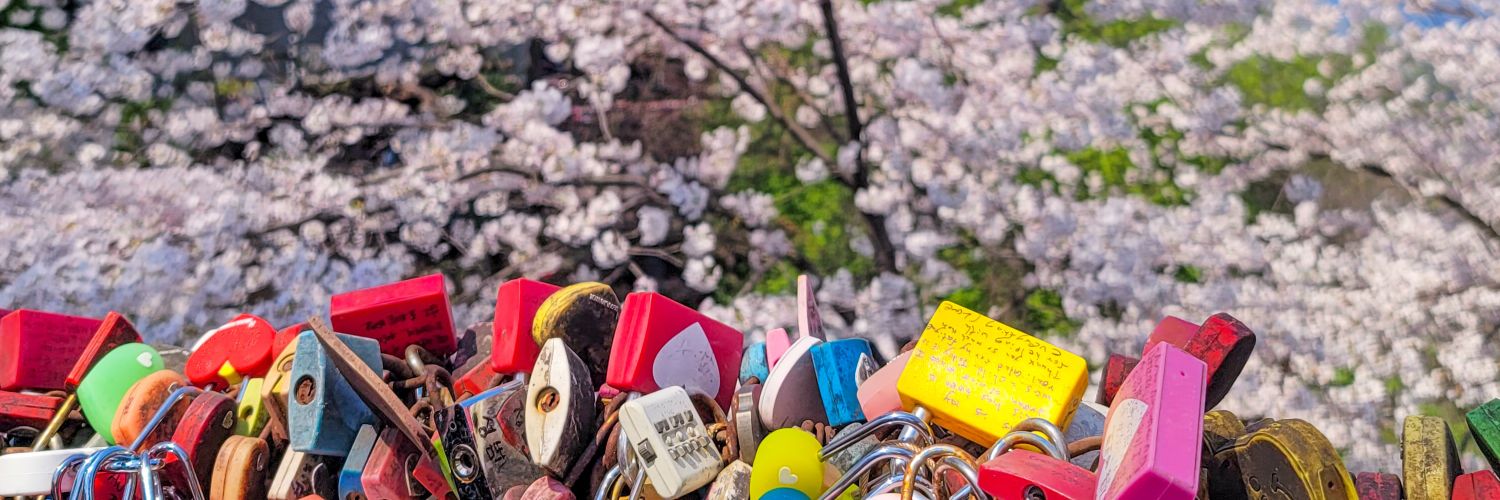danykimkr's profile banner image