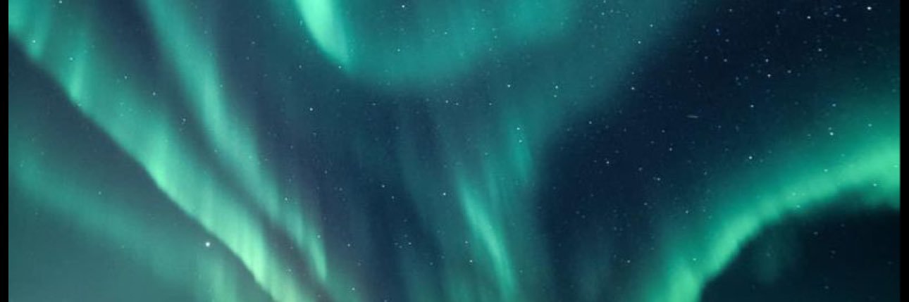 neeeeeeeem0's profile banner image