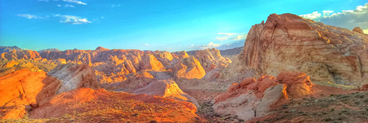 Chris Rauschnot banner