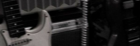 bella banner