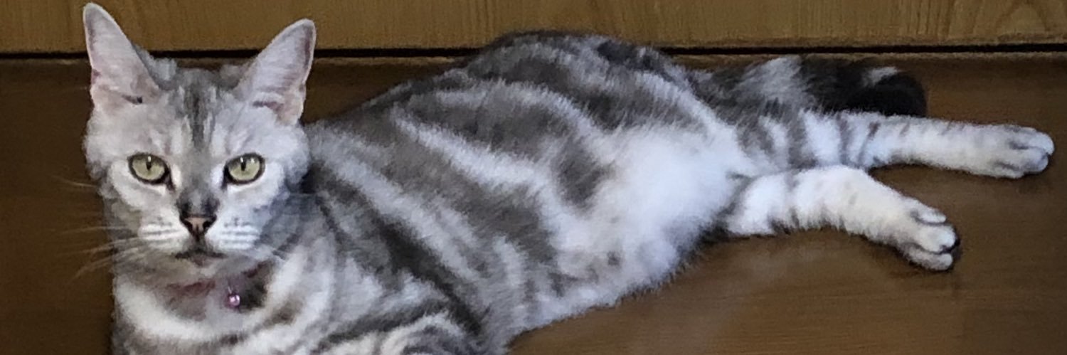 𝐞𝐥𝐞𝐜𝐭𝐫𝐨エト浪 banner