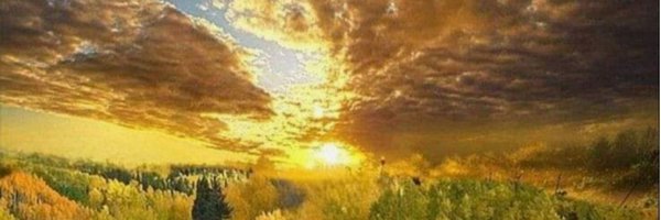 la_natif Profile Banner