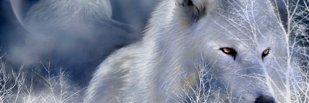 CyndeeHicks's profile banner image