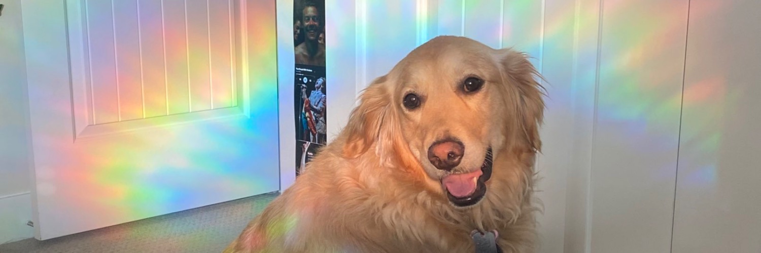 mem banner