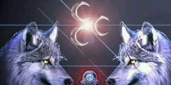 mmehmeterdogan's profile banner image