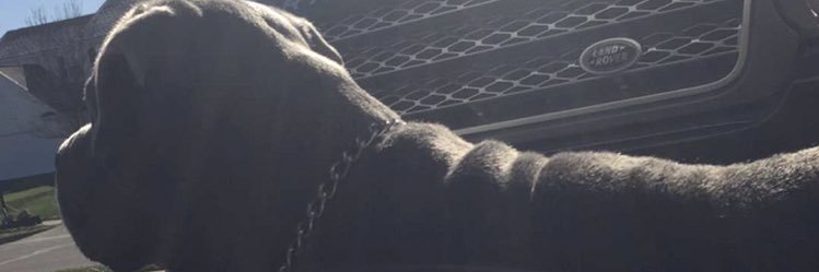 Rodney__KinG's profile banner image
