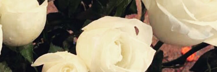 noha__n's profile banner image