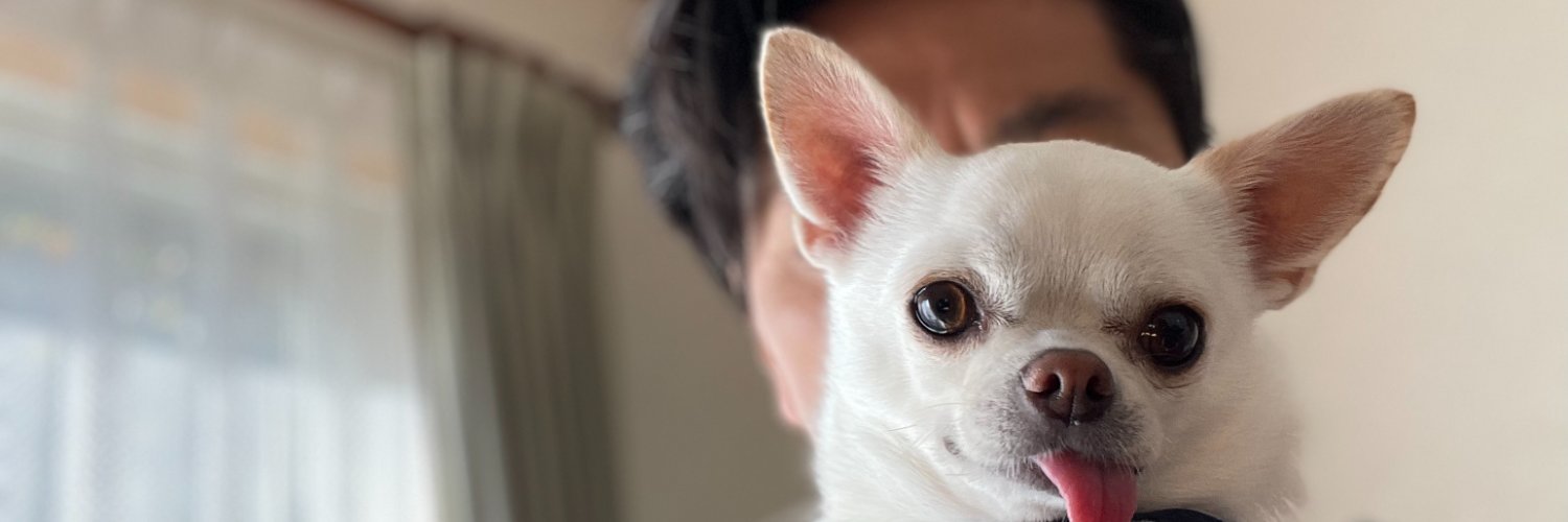 かっちゃん banner