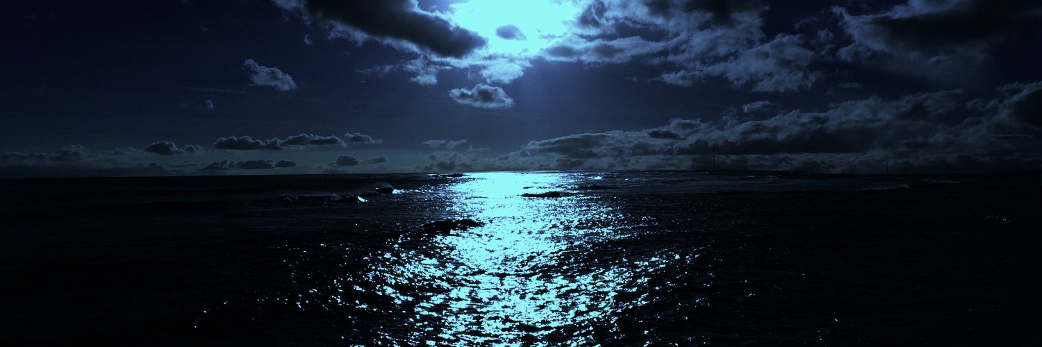 s9u1rrel's profile banner image