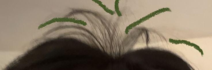 ajel banner