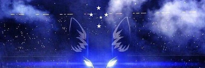 Rodrigo Perrela banner