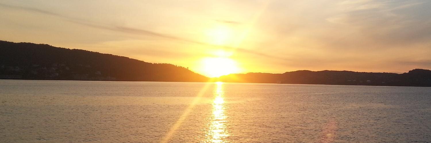 Hans Olav Hygen banner