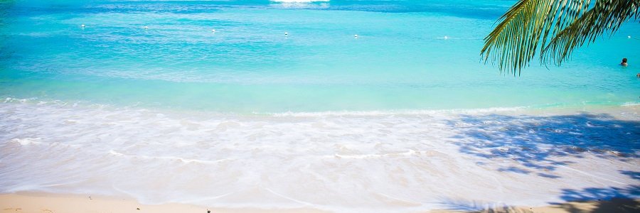 Ms. D. Montgomery banner