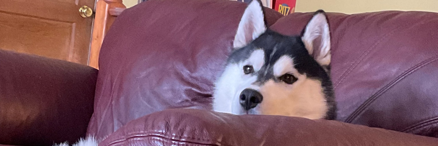 DudleyWalks's profile banner image